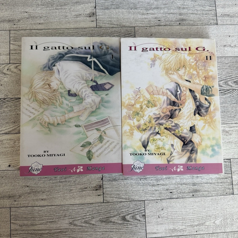 Il Gatto Sul G Manga Lot Vol Volume 1 2 I II Tooko Miyagi Yaoi Romance June Book
